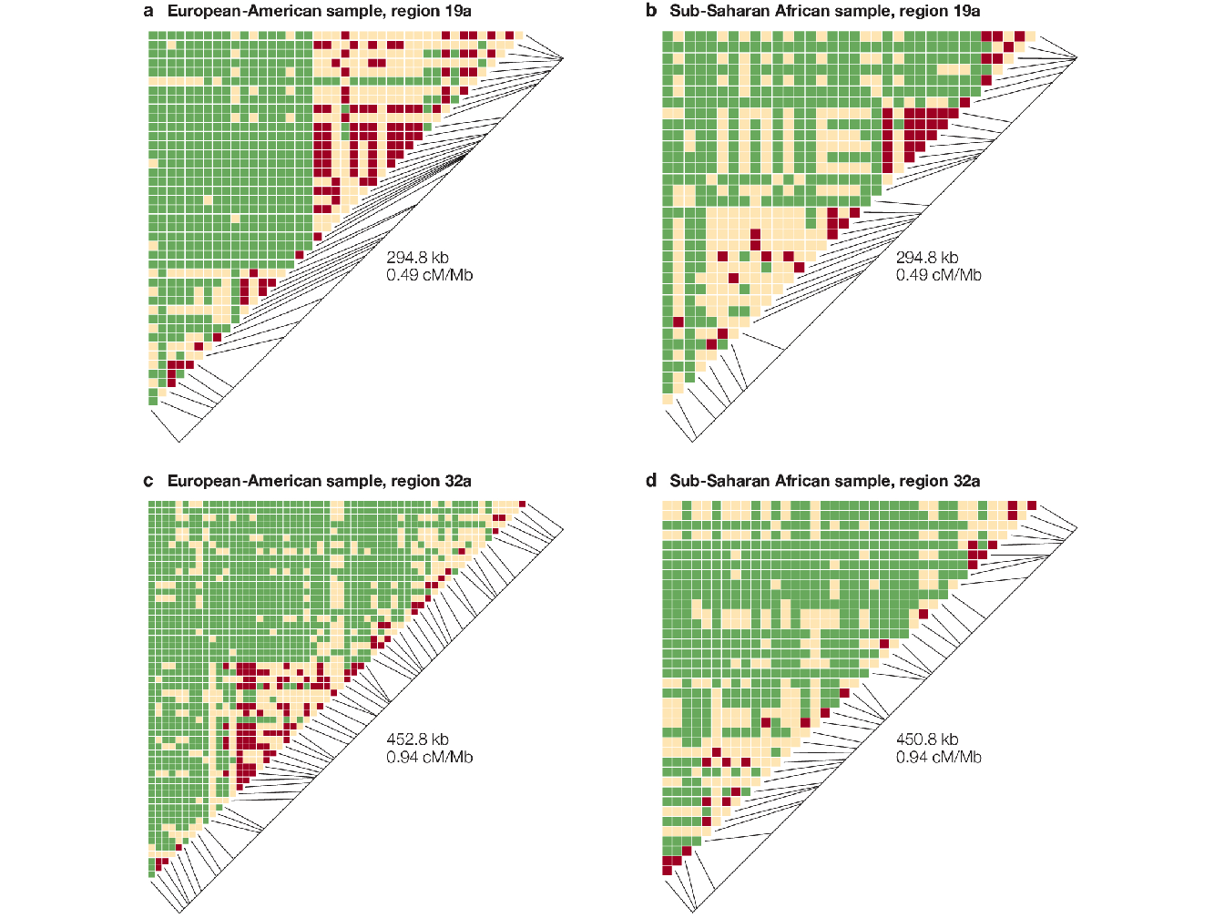 Pairwise \(\mid D' \mid\) plots for representative regions from different population samples from (Wall and Pritchard 2003). Each square in the triangle plots the level of linkage disequilibrium (LD) between a pair of sites in a region; comparisons between neighbouring sites lie along the diagonal. Red color indicates strong LD, green indicates weak LD and light brown indicates intermediate or uninformative LD. The long diagonal line indicates the physical length of the region, and the short black lines plot the position of each marker in this region.
